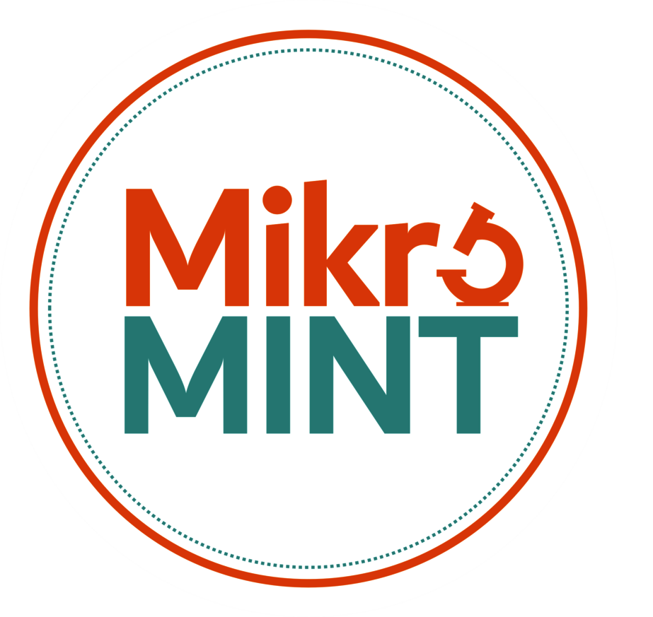 Logo_mikroMINT